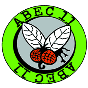 Abec 11 FLYWHEELS 75A Centerset 101mm Longboard Wheels